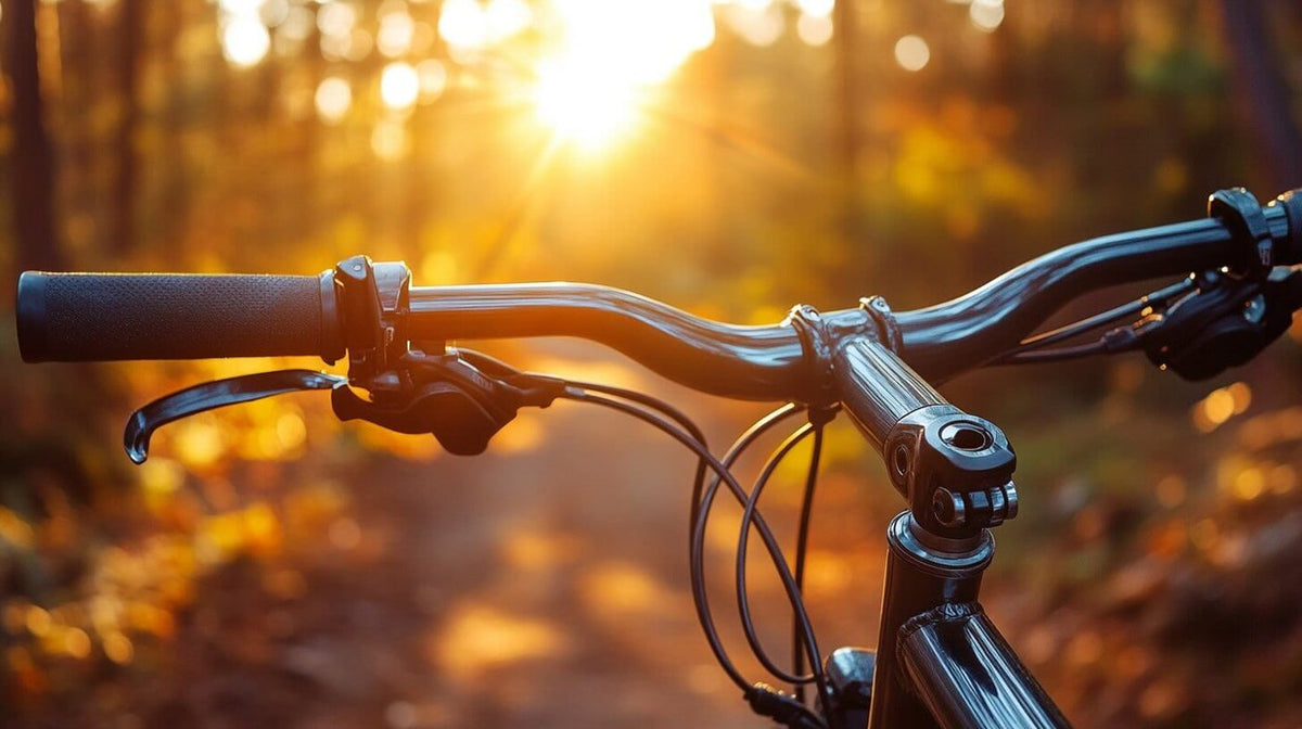 how to change a bicycle tire